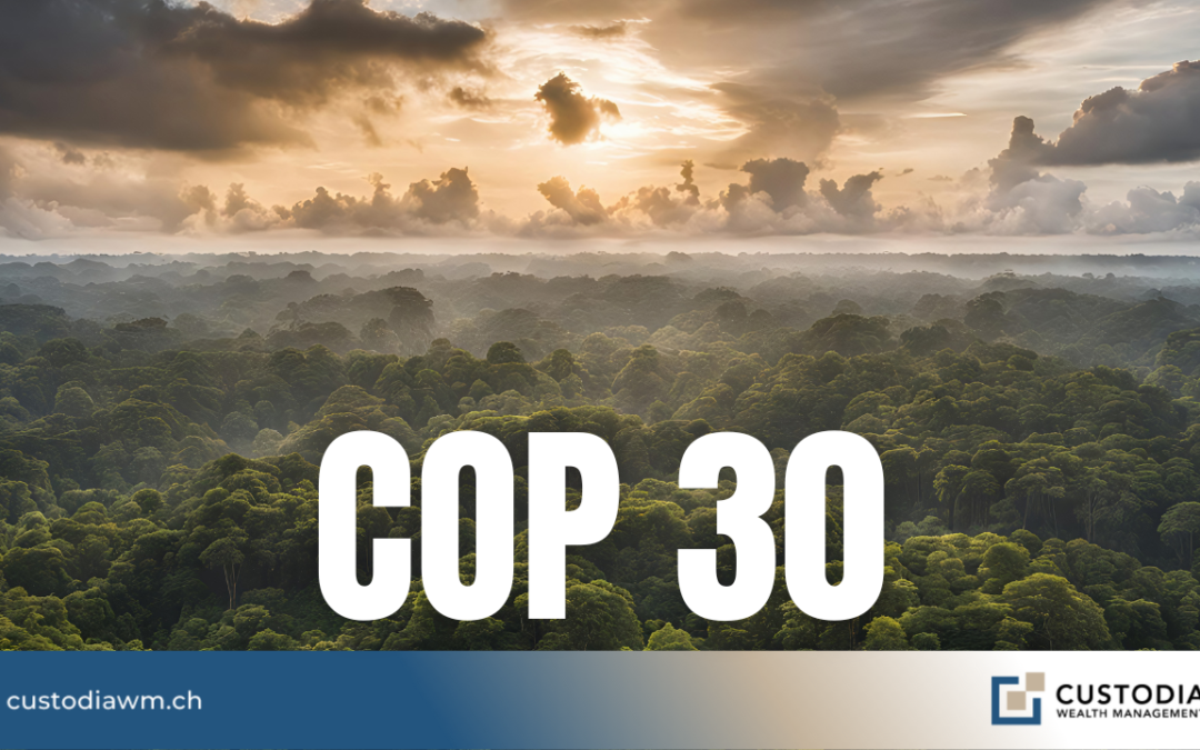 COP30: um balanço quente
